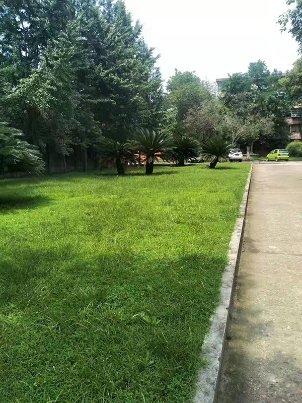 万搏平台